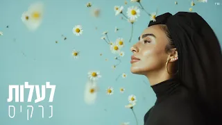 נרקיס לעלות 