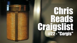 Chris Reads Craigslist - Corgis