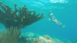 Sailing Around the World – This is Divers Paradise! Ep. 23