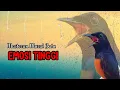Download Lagu masteran murai batu EMOSIONAL full isian tembakan buat murai batu gacor agar bunyi dan jadi jawara