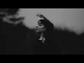 Fred Nardin Trio - In The Skies (Clip)