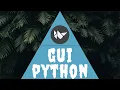 Master The Python Kivy In 37 Minutes