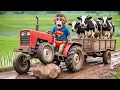 Lagu Monkey Funky Helps an Injured Dairy Cow During a Tractor Problem — His Careful Actions Save the Day