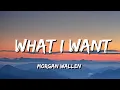 Download Lagu Morgan Wallen - What I Want (feat. Tate McRae) (Lyric Video)