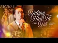 Lagu DƯỜNG NHƯ TA ĐÃ - BẠCH CÔNG KHANH live cover at #Lululola