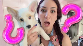 ¿SORDA?¿ MI HIJA ESTA SORDA?