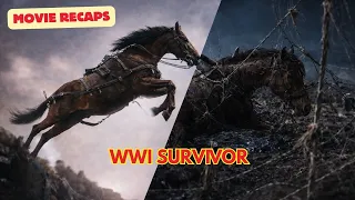 war horse 2011 movie summary a heartbreaking wwi journey
