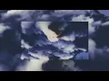 Romain Garcia - Windblows (Visualizer)