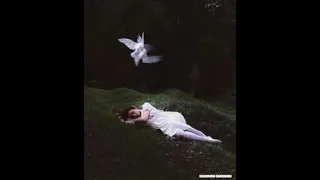  harleys in hawaii flac quality 