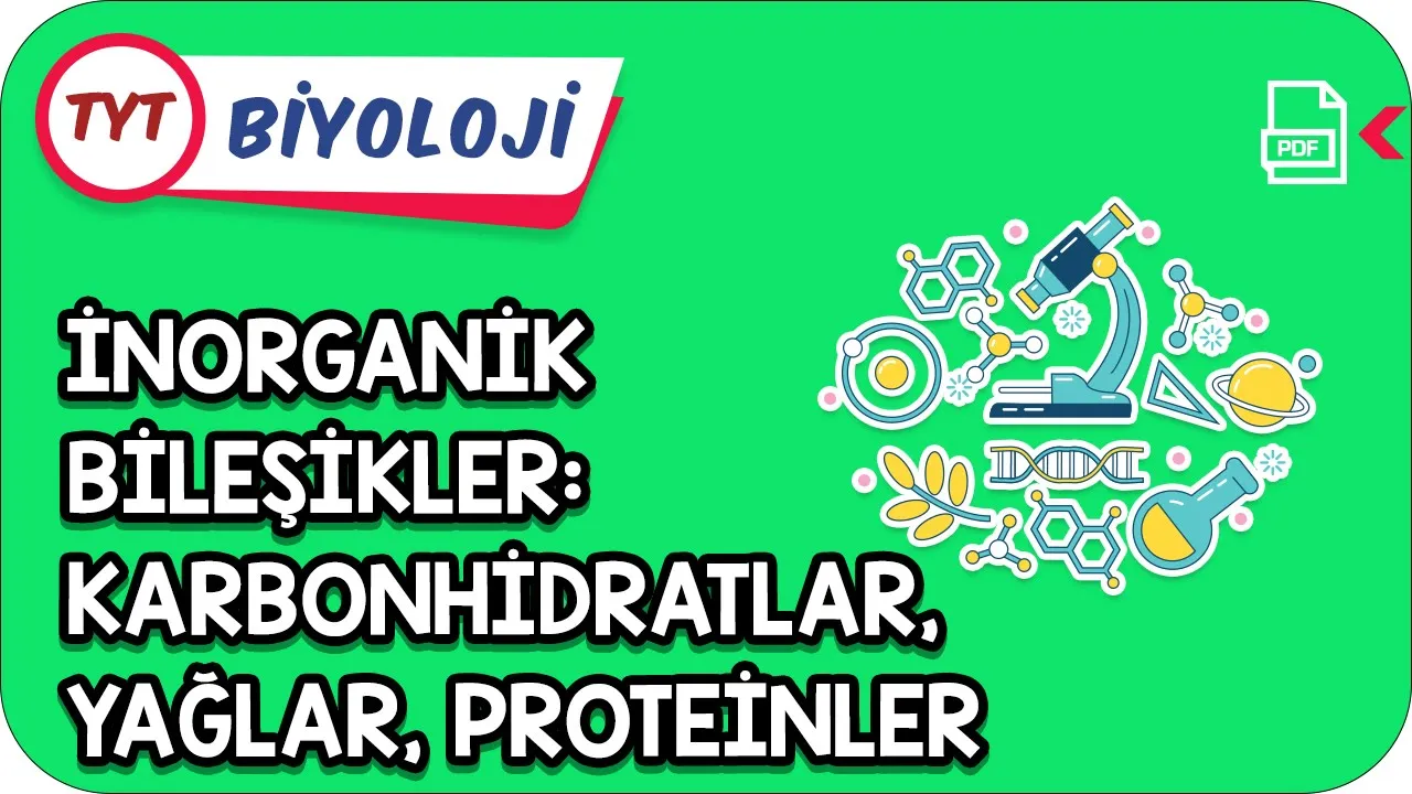 İnorganik Bileşikler: Karbonhidratlar, Yağlar, Proteinler | Kamp2021 #YazKampı