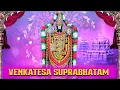 Lagu Sri Venkatesa Suprabhatam |  Perumal Songs | Perumal devotional songs | T S Ranganathan