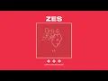 ZES - 4D