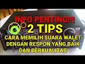 Download Lagu Cara memiilih suara walet yang baik dan berkualitas