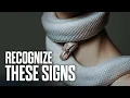 Download Lagu Recognize These 7 Signs of the Spirit of Python