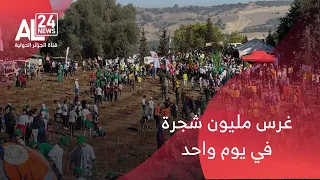 الجزائر انطلاق أكبر حملة وطنية لغرس مليون شجرة في يوم واحد  الجزائر انطلاق أكبر حملة وطنية لغرس مليون شجرة في يوم واحد