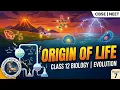 Evolution Class 12 Theories of Origin of Life Explained Part 2 Chapter 7 Biology