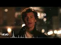 Download Lagu Shawn Mendes - It'll Be Okay (REMIX)