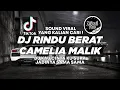 Download Lagu DJ KAU CINTA KU SUKA JADINYA SAMA SAMA - DJ RINDU BERAT CAMELIA MALIK TERBARU 2024 !