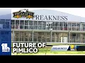 Transforming Pimlico into state s racing universe