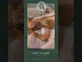 Experience Ultimate Relaxation with Hot Stone Massage