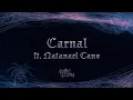 CARNAL - Peso Pluma Natanael Cano