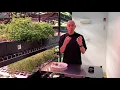 Summer Savory Plant Profile