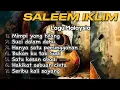 Download Lagu LAGU - LAGU POPULER SALEEM IKLIM