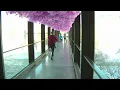 MCAD skyway filled with thousands of love notes as part of new exhibition