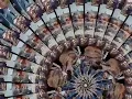 Bonobo   'Cirrus' Zoetrope 12″ Picture Disc