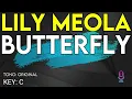 Lily Meola - Butterfly - Karaoke Instrumental