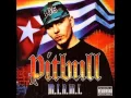 Download Lagu Pitbull - Toma (feat. Lil Jon)