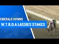 2025 50 000 W T B O A Lassies Stakes at Emerald Downs