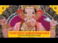 Download Lagu TUJHKO PHIR SE JALWA DIKHANA HI HOGA (REMIX)- DJ BHAVESHX DJ VISHAL S #manishkumarshorts #subscribe 