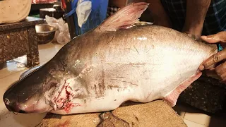 amazing cutting skills big pangasius fish cutting skills live in bd fish marked part 2