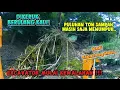 Download Lagu DIKERUK BERULANG KALI ! PULUHAN TON SAMPAH MASIH SAJA MENUMPUK DI KALI CIKARANG 
