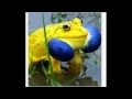Download Lagu les animaux - animal - animals - les animaux - l'anima - music - song