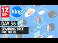 200-301 CCNA v3 0 Day 36 Spanning Tree Protocol STP Free CCNA