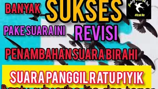 Download Suara walet revisi Ratu piyik penambahan suara birahi terbukti jozz MP3