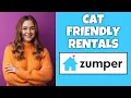 How To Find Cat Friendly Rentals On Zumper Step By Step Guide - Zumper Tutorial