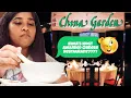China Garden GK2 Most awarded Chinese Restaurant South Delhi Chinese Restaurant