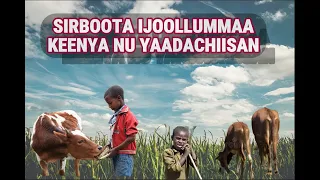 sirboota durii sirboota ijoollummaa sirboota afaan oromoo sirboota 90s dawite mekonin