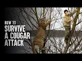 How to Survive a Cougar Attack