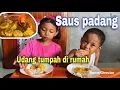 Download Lagu HARI INI MAKAN UDANG SAUS PADANG⁉️ LEBIH SEGAR DARI YANG KITA MAKAN KEMARIN