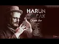 Harun Kolçak - Vermem Seni Ellere (feat. Hakan Kahraman) (Official Audio)