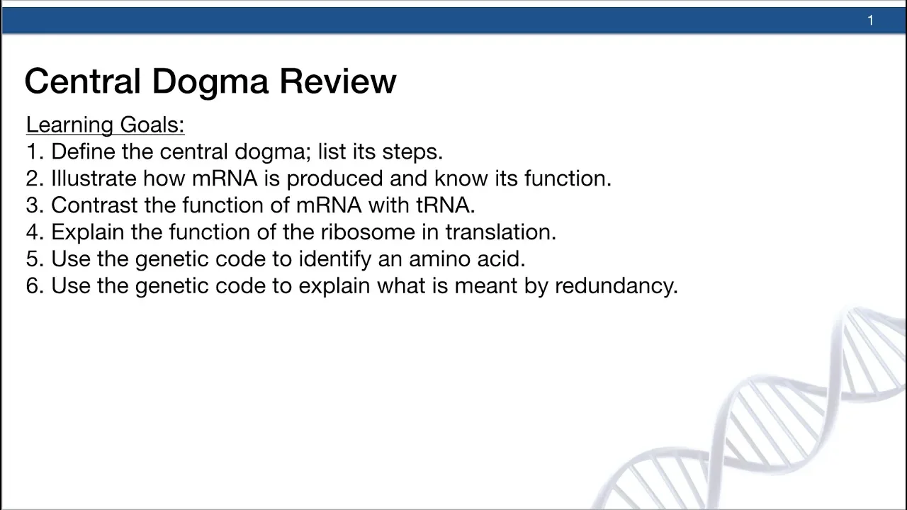 Central Dogma (simple)