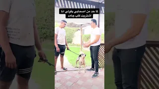 لما حد يجبلي كلب بلدي 