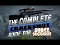 The COMPLETE Crackshot Guide for Beginners Shell Shockers