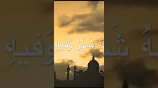 تولى العمر في سهو وفي لهو وفي خسر فيا ضيعات ما أنفقت في الأيام من عمري 