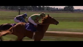 dreamer inspired by a true story so ador winning the breeders cup hd