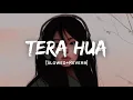 Tera Hua - Lofi Version | cash | Arijit SinghAkul Kunal Verma